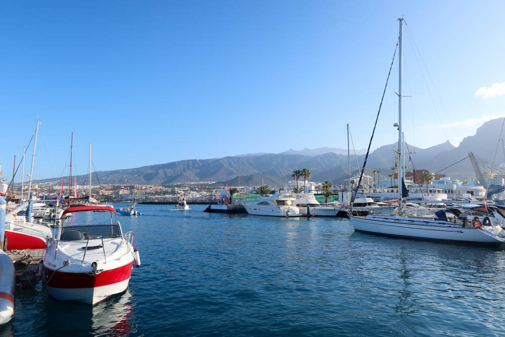 Tenerife in December: reasons to visit & guide