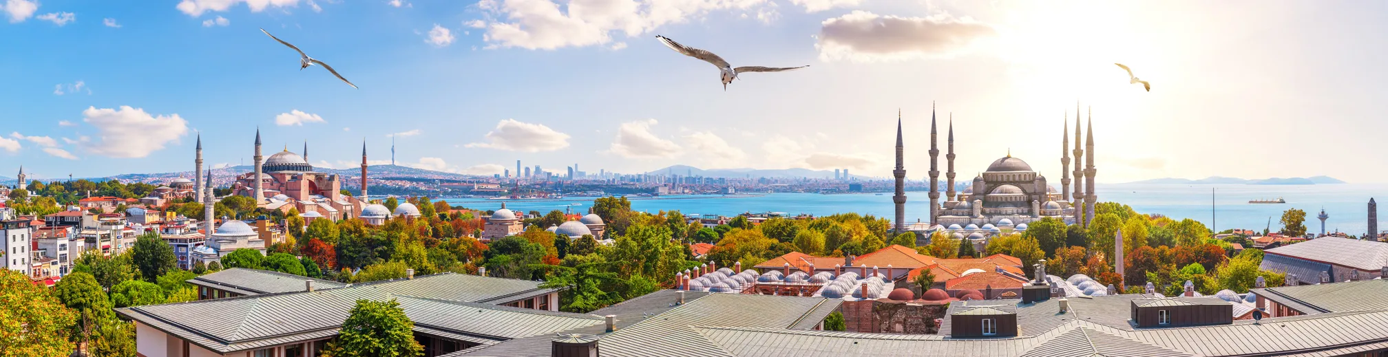 The Blue Mosque, The Hagia Sophia and the Istanbul roofs, beautiful sunny panorama.