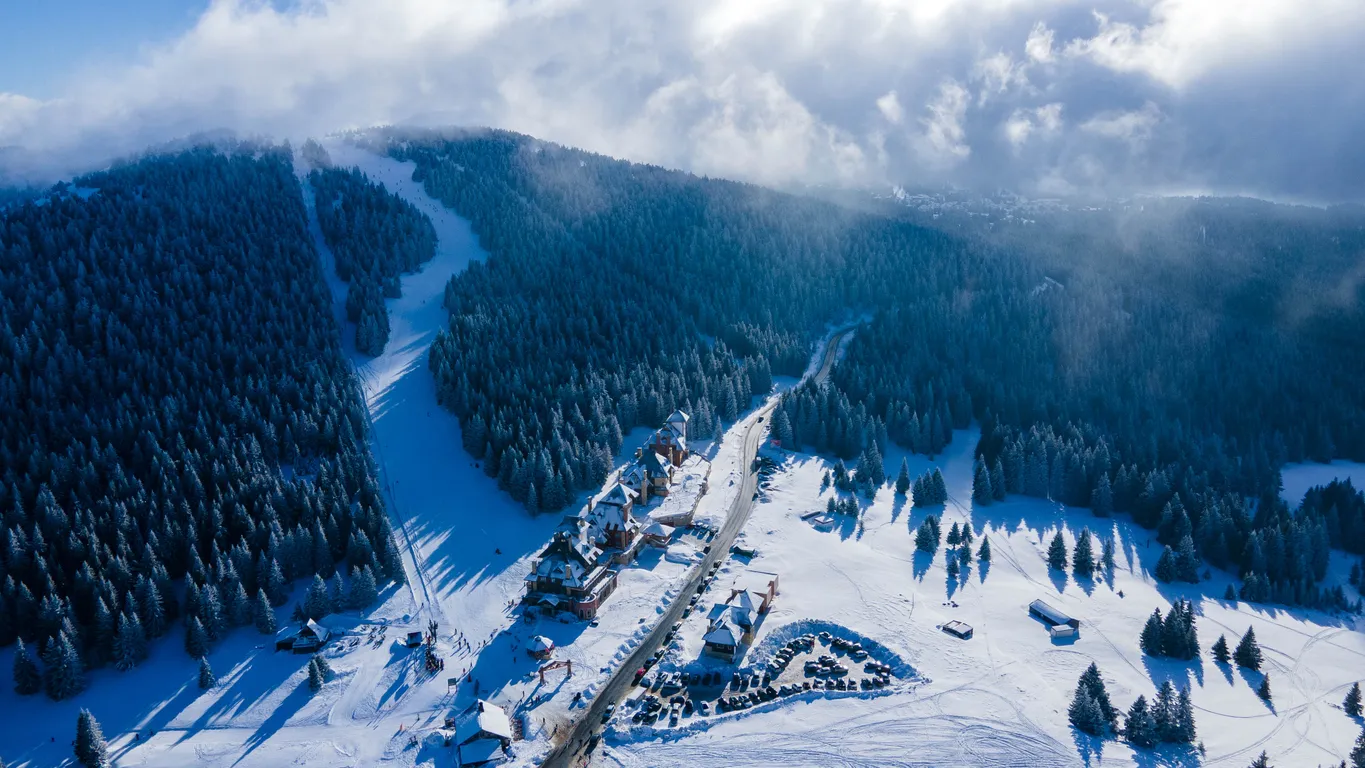 Aerial view at slope on ski resort. Forest and ski slope from air. Winter landscape from a drone. Snowy landscape on ski resort. Aerial photography