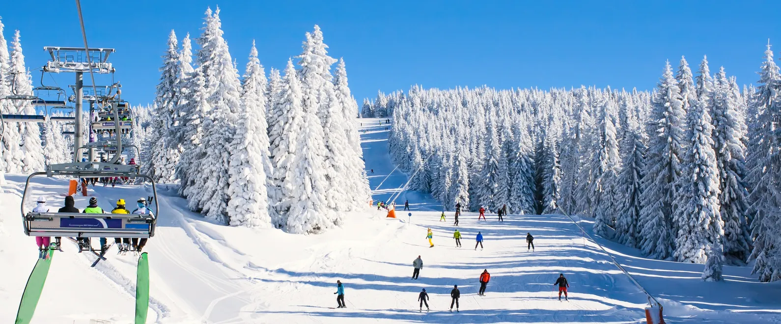 Panorama of ski resort, slope, people on the ski lift, skiers on the piste among white snow pine trees