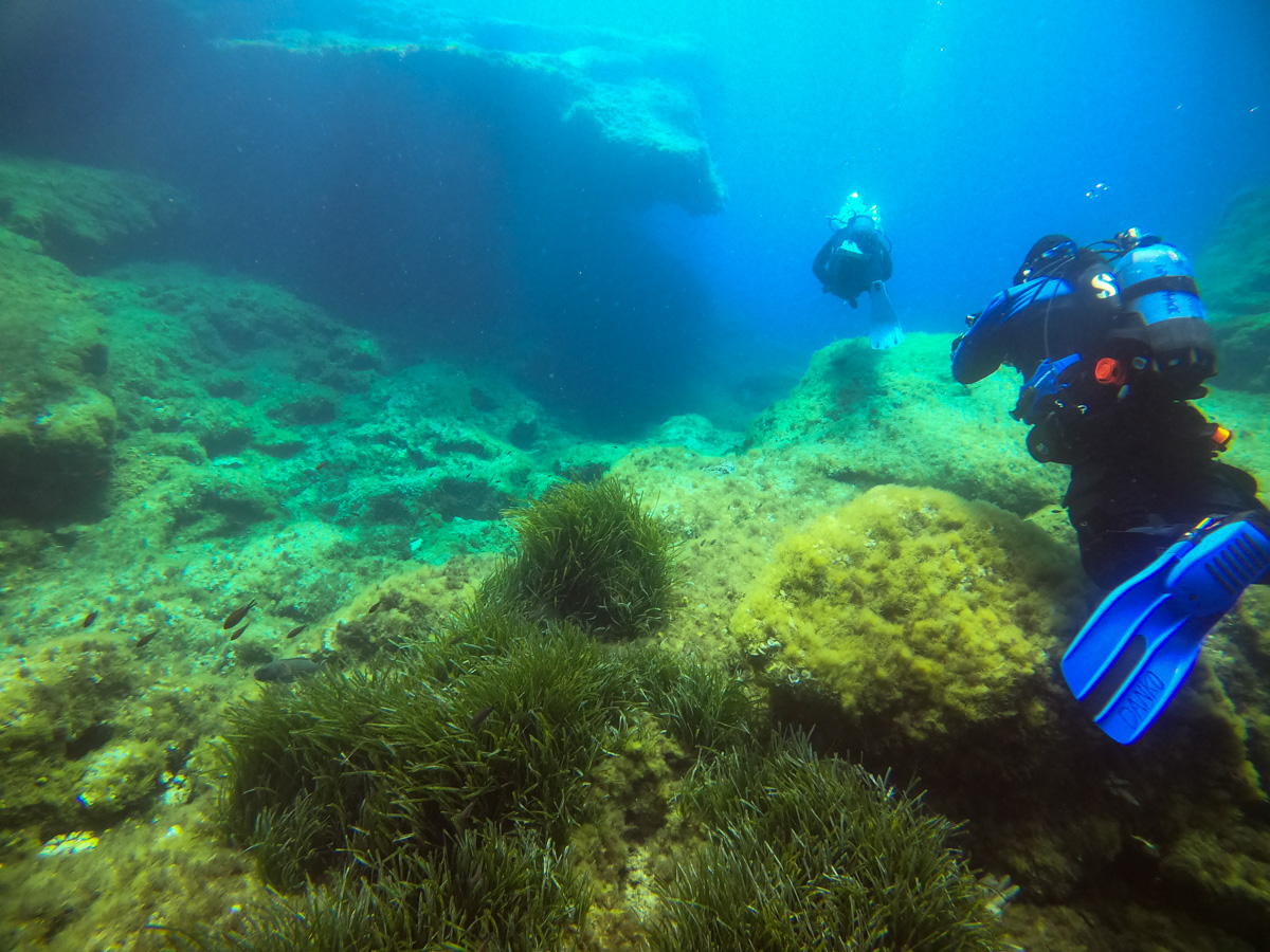 Divers wearing wetsuits in the sea in a reef close to Malta