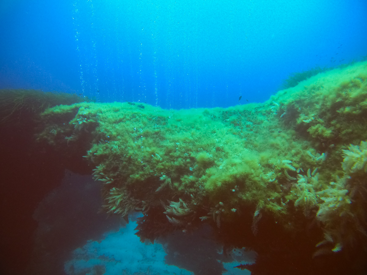 Cirkewwa Arch, a large rock formation that makes one of the best dive sites in Malta - even in April