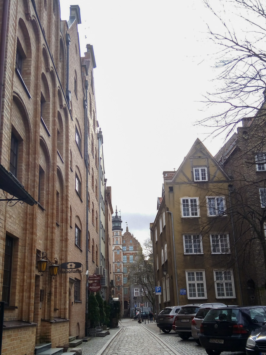 Bare trees looking down the streets of Gdansk in Poland.
